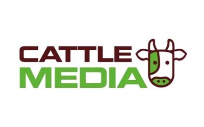 professional company logo design