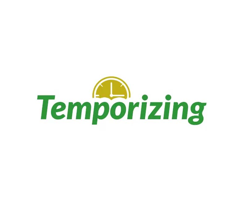 Temporizing - Business Logo Design