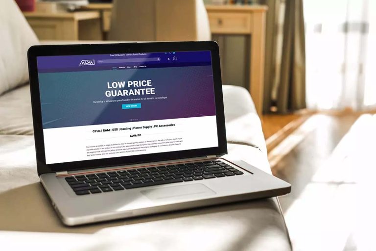 Successful ecommerce store​