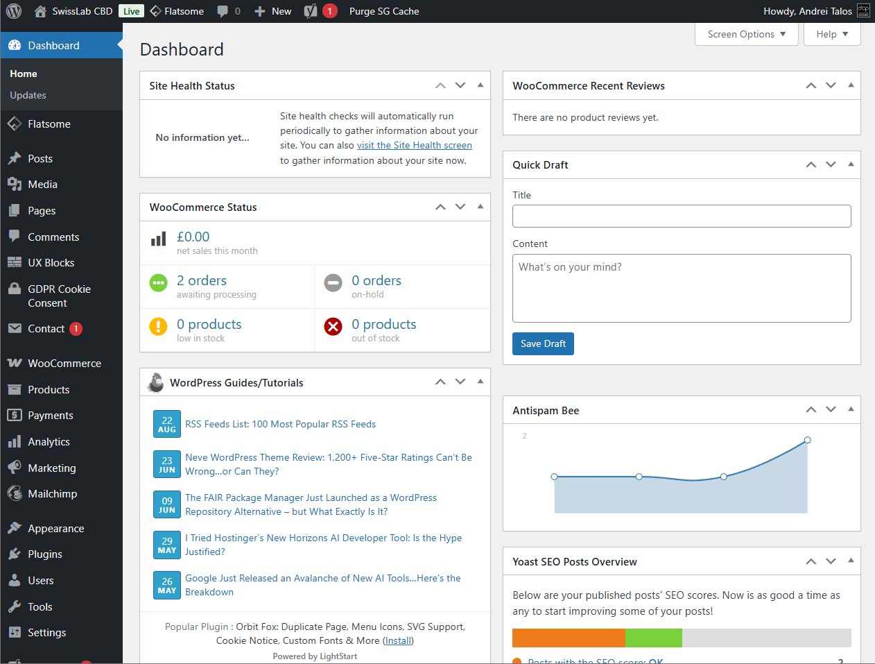 WordPress Dashboard